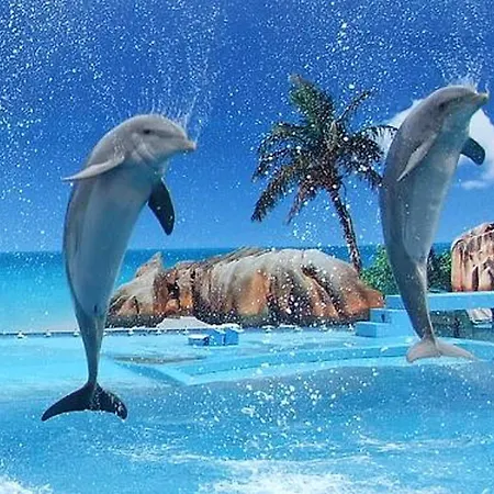 Charming In With Shared Pool 公寓 阿尔布费拉