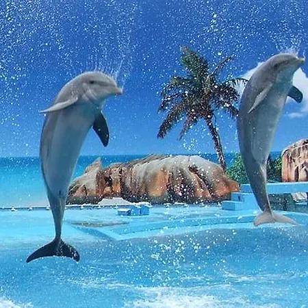 Διαμέρισμα Charming In With Shared Pool Αλμπουφέιρα