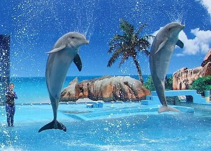 Charming In With Shared Pool Appartamento Albufeira